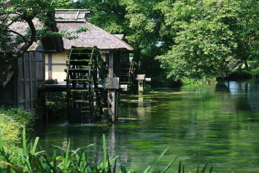 Hotel 金剛寺 宿坊 成穂院 Matsukawa Exteriér fotografie